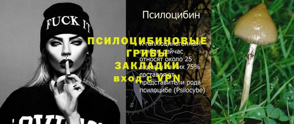 дурь Медногорск