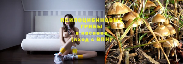 эйфоретик Медвежьегорск